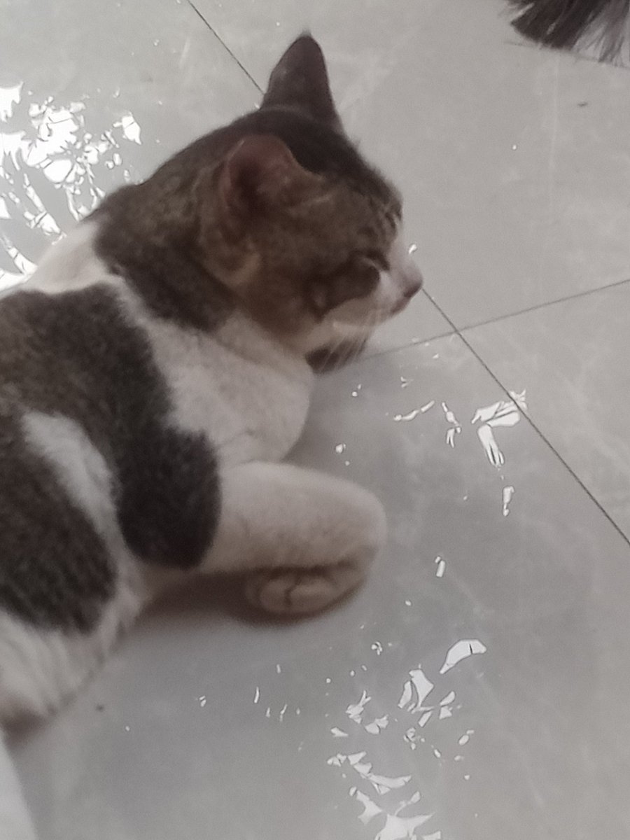 marvchie's tweet image. Asep pulang pulang menjadi dekil