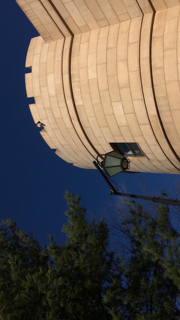 y0u_t_h's tweet image. #identity 

문화생활 빼고 시체인 성인 여성입니다