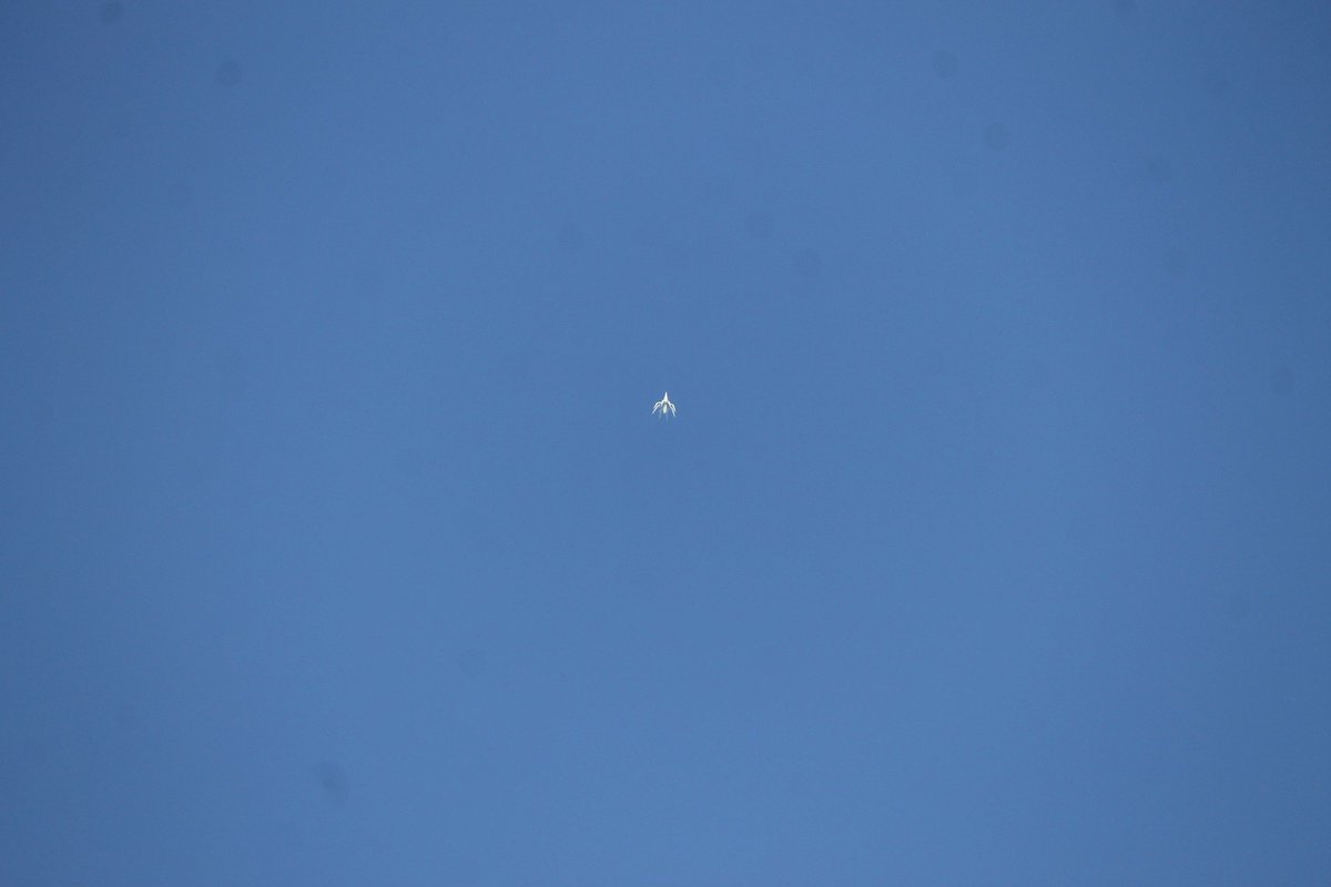 TUPACABRA tweet media