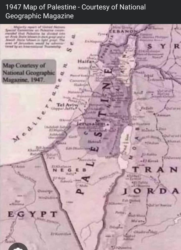 realstewpeters's tweet image. Make the world 1947 again.