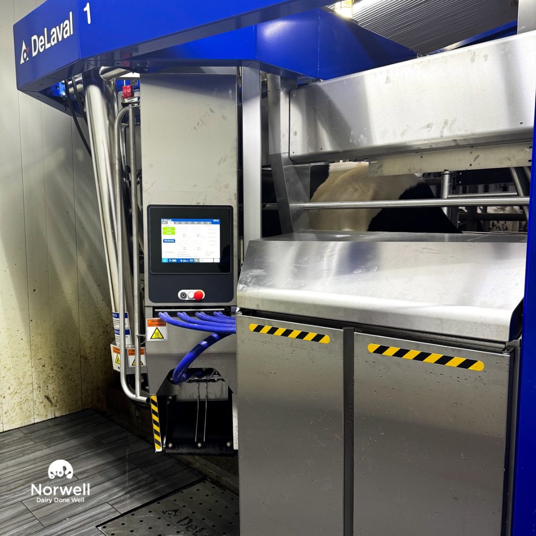 Huge congratulations to the Duizer Family of Brandwood Farms! We swapped out the VMS classic today and now both DeLaval V300’s are up and running! The Behavior Analysis system is live as well so the full addition and upgrade is complete!  The cows are loving the upgrade and the