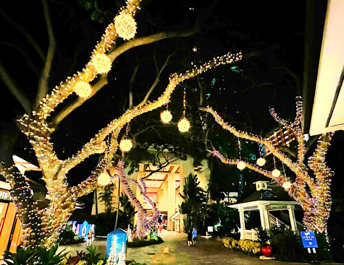 Come stroll through our winter wonderland!  🎄