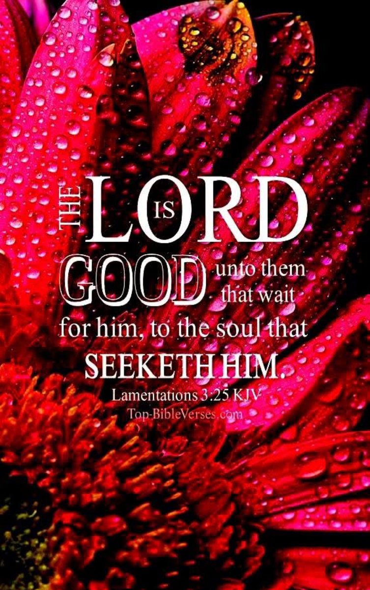 PraySteadfastly's tweet photo. https://t.co/qxPCK8SFVS