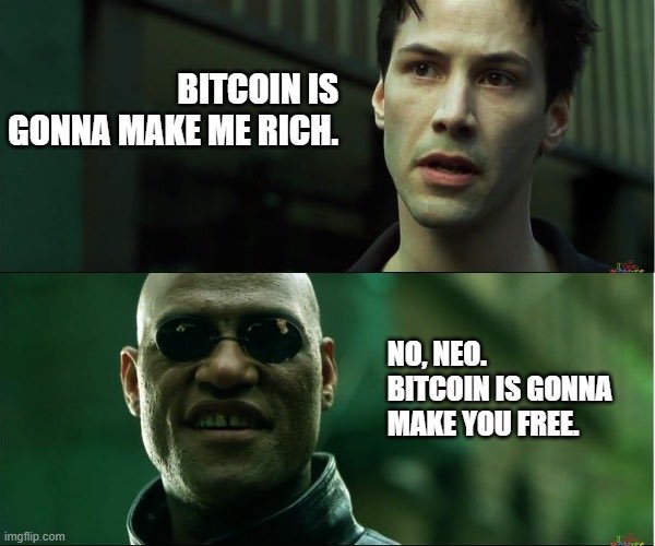 CryptosR_Us's tweet image. Orange pill ( $BTC ) or Blue pill ( $USD )
The choice is yours.