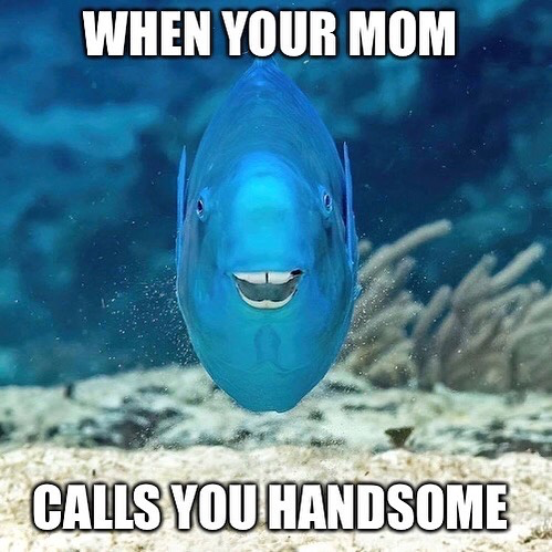 UWA Oceans Institute (@uwaoceans) on Twitter photo 