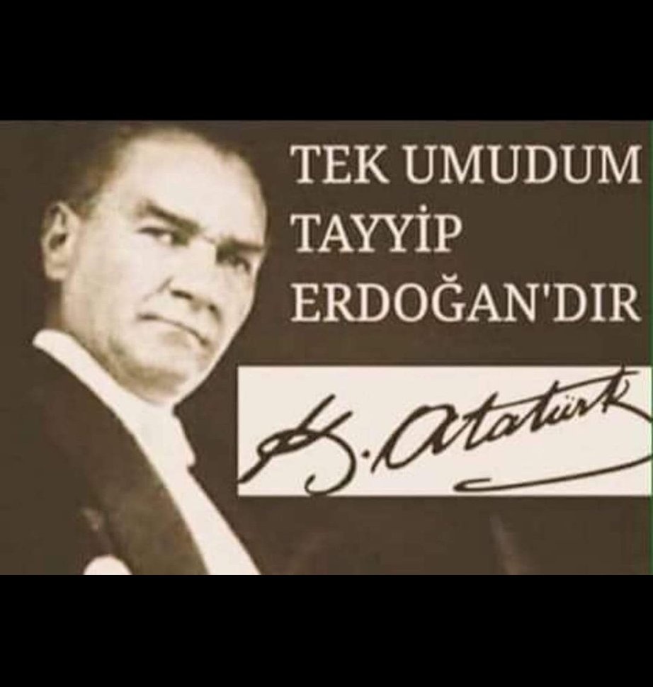 Kızılelma 🇹🇷🇵🇸 tweet media