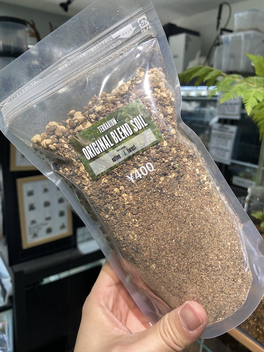 nativeforest1's tweet image. 12/13-12/20 限定！

当店で購入した植物をポストしてくれた方に「native forest オリジナルブレンドソイル」をプレゼント🎁

#ネイティブフォレスト
#nativeforest
@nativeforest1 

ハッシュタグとメンションを付けてくださいね
お店でお渡しいたします🙌