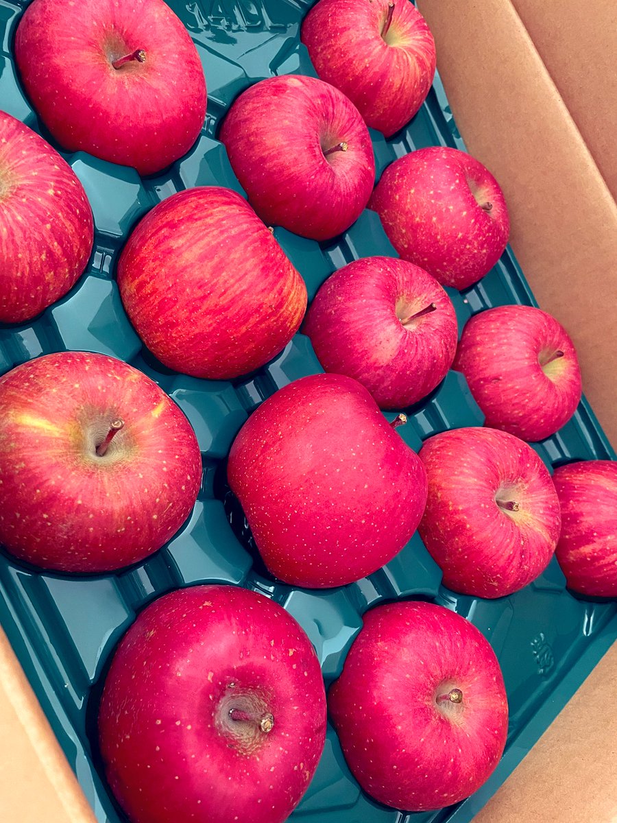今年もありがとう!(´▽｀)
青森のりんご🍎🍎

#青森 #りんご