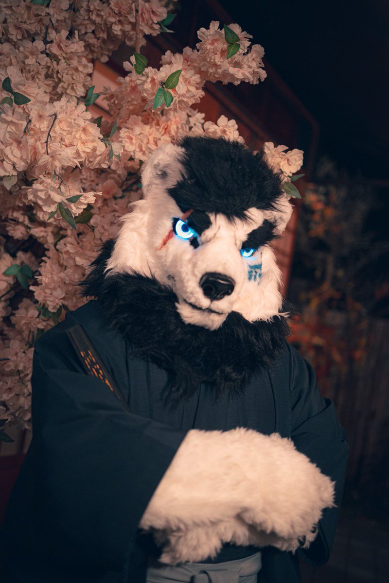 trevor830403's tweet photo. 花の下で、最も美しいあなたを待っています😊
Under the blossoms, I await the most beautiful you 😊

🪡 ： @qijing260570760 
📷 ： @goat83262 

#FursuitFriday  #fursuit https://t.co/1Ajc64MmV1