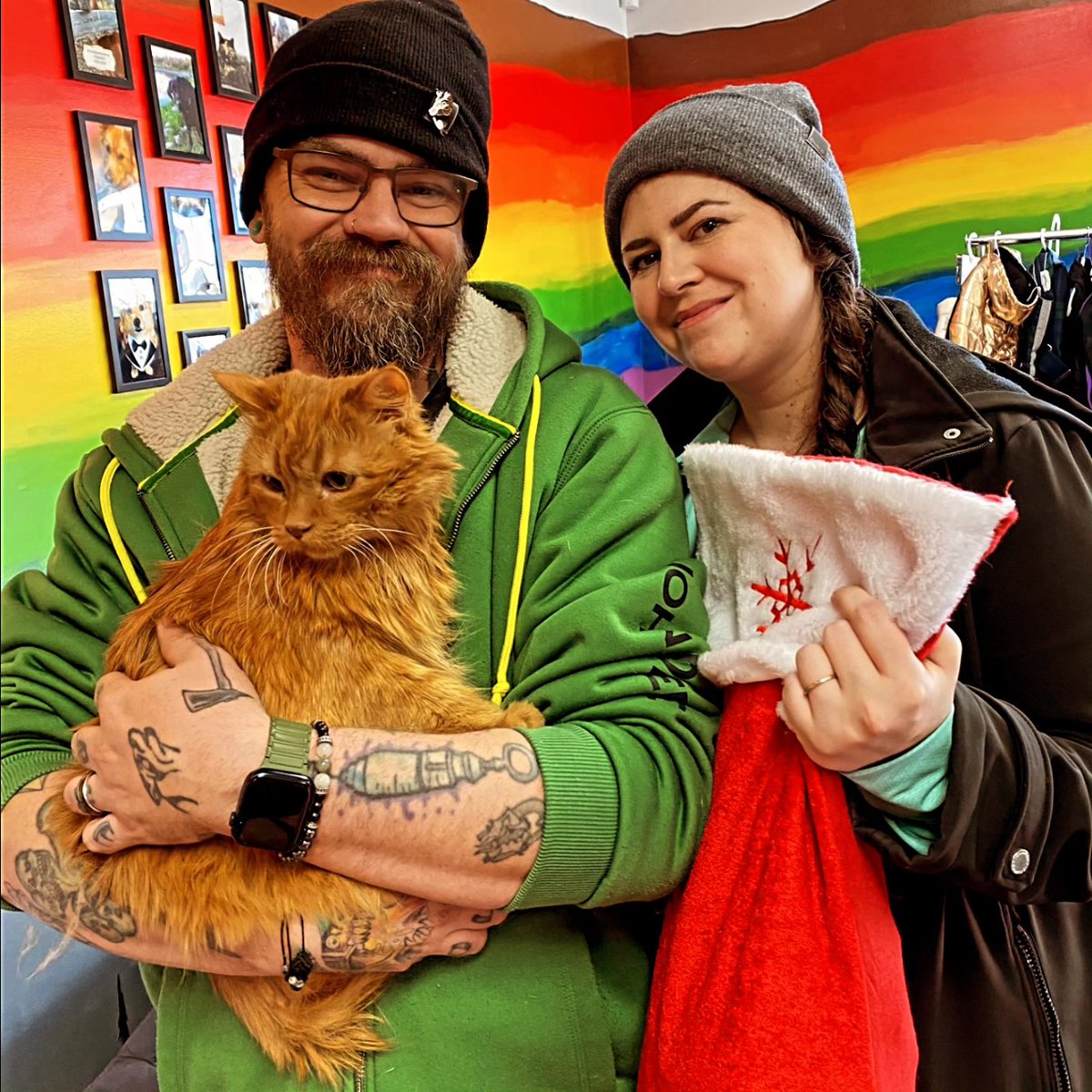 Macy and Sébastien want you to know we have a few "Weegin Waggin" stockings left to purchase. These stockings are huge and stuffed with well over a $200 value - for only $60!

Purchase one for the special pet in your life or donate one to a pet in safekeeping this holiday season.
