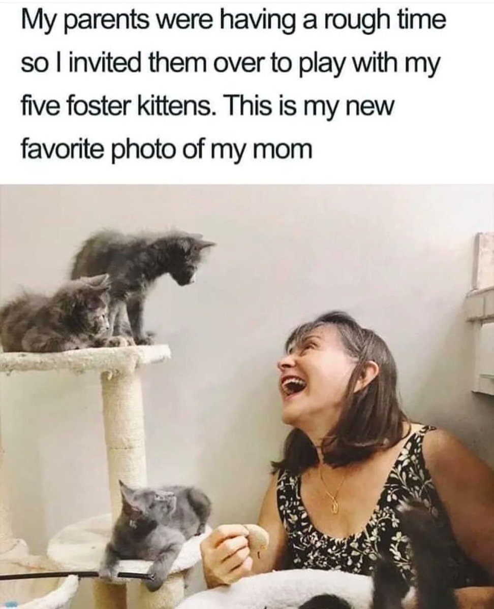 2. This is so pure 🥺❤️