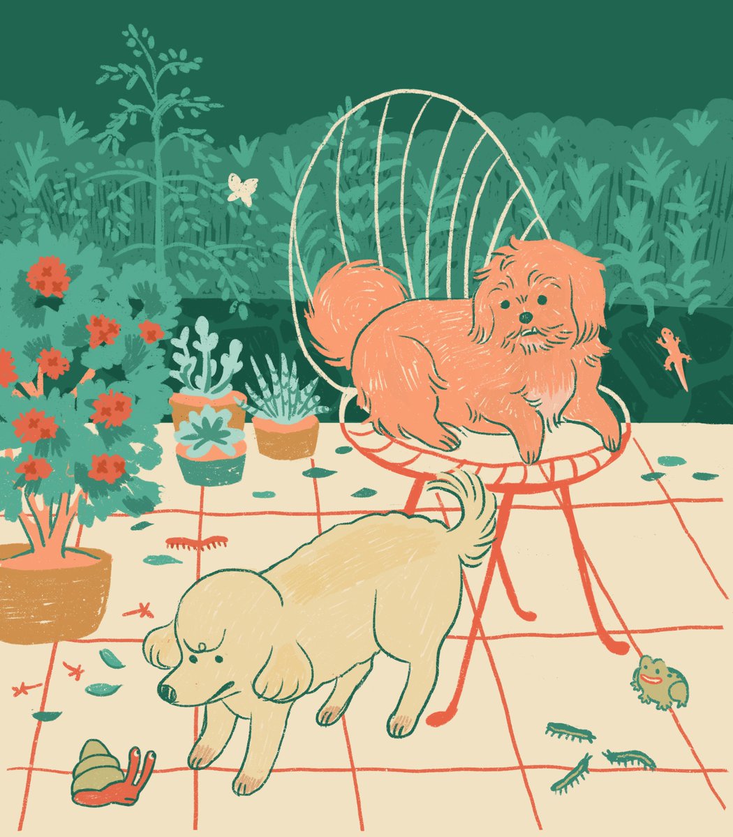 dgodrawing tweet media