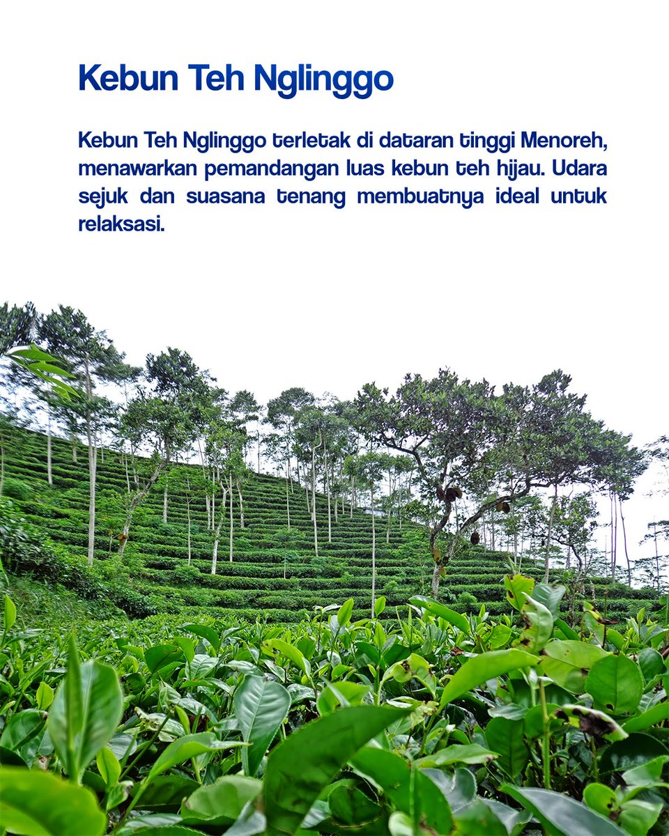 BOBorobudur's tweet image. Gas lah ekspore alam Kulon Progo ya BOBers.

#KulonProgo #VisitKulonprogo #BOB #BOBorobudur #PesonaIndonesia