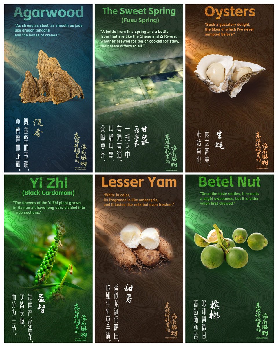 HiHainan's tweet image. During his three years of exile in #Hainan, Su Dongpo, a #polymath and man of the people who lived during the Northern Song Dynasty, observed his environment with a keen and #humanistic heart, integrating into local life and crafting a large number of #poems. With many of them