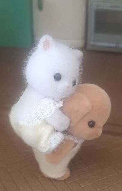 뿌 (@sheepbabu) on Twitter photo 