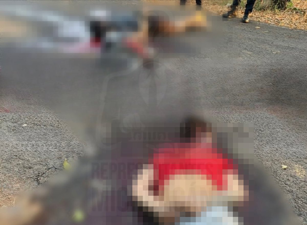 Representantes Michoacán. tweet media