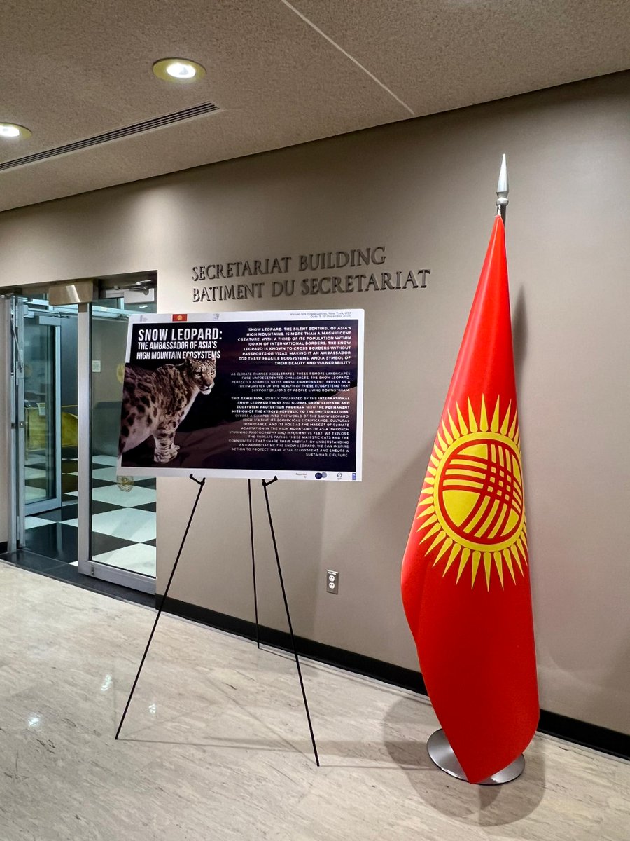 Koustubh Sharma (@koustubh_sharma) on Twitter photo And it's official!
The 79th United Nations General Assembly endorses the Resolution proposed by #Kyrgyzstan: 23rd October is now the UN #SnowLeopard Day!
If you're in NY, don't miss the photo exhibition at <a href="/UNHQ/">UNHQ</a>, co-organized by <a href="/KyrgyzMissionUN/">Kyrgyz Mission to UN</a> <a href="/snowleopards/">Snow Leopard Trust</a> & <a href="/gslep_program/">GSLEP_Secretariat</a> And it's official!
The 79th United Nations General Assembly endorses the Resolution proposed by #Kyrgyzstan: 23rd October is now the UN #SnowLeopard Day!
If you're in NY, don't miss the photo exhibition at <a href="/UNHQ/">UNHQ</a>, co-organized by <a href="/KyrgyzMissionUN/">Kyrgyz Mission to UN</a> <a href="/snowleopards/">Snow Leopard Trust</a> & <a href="/gslep_program/">GSLEP_Secretariat</a>