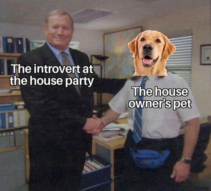 WholesomeMeme's tweet photo. https://t.co/6u668ItIxs
