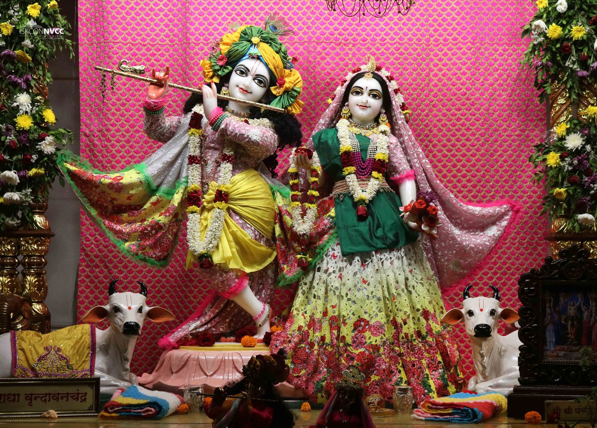 ISKCONPune's tweet photo. 🌷Mangal Arati Darshan🌷🗓13/12/2024🙏🚩@ISKCONNVCCPune🚩
.
.
#ISKCONNVCC #ISKCONPune #ISKCONNVCCPune #ISKCON #13thdecember #13thdecember2024 #Friday #Harinaamsankirtan #Radheshyamdas #Radheradhe #Sankirtan #Kirtan #Vrindavan #Mayapur #Prabhupada #GVE #GovardhanEcoVillage #Radha https://t.co/Ux3BOr3stl