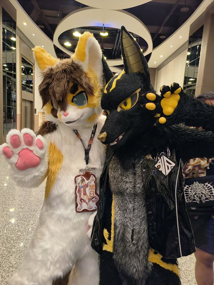 好欸是阿努!!
要...要被膠了嗎0//////0

#FursuitFriday