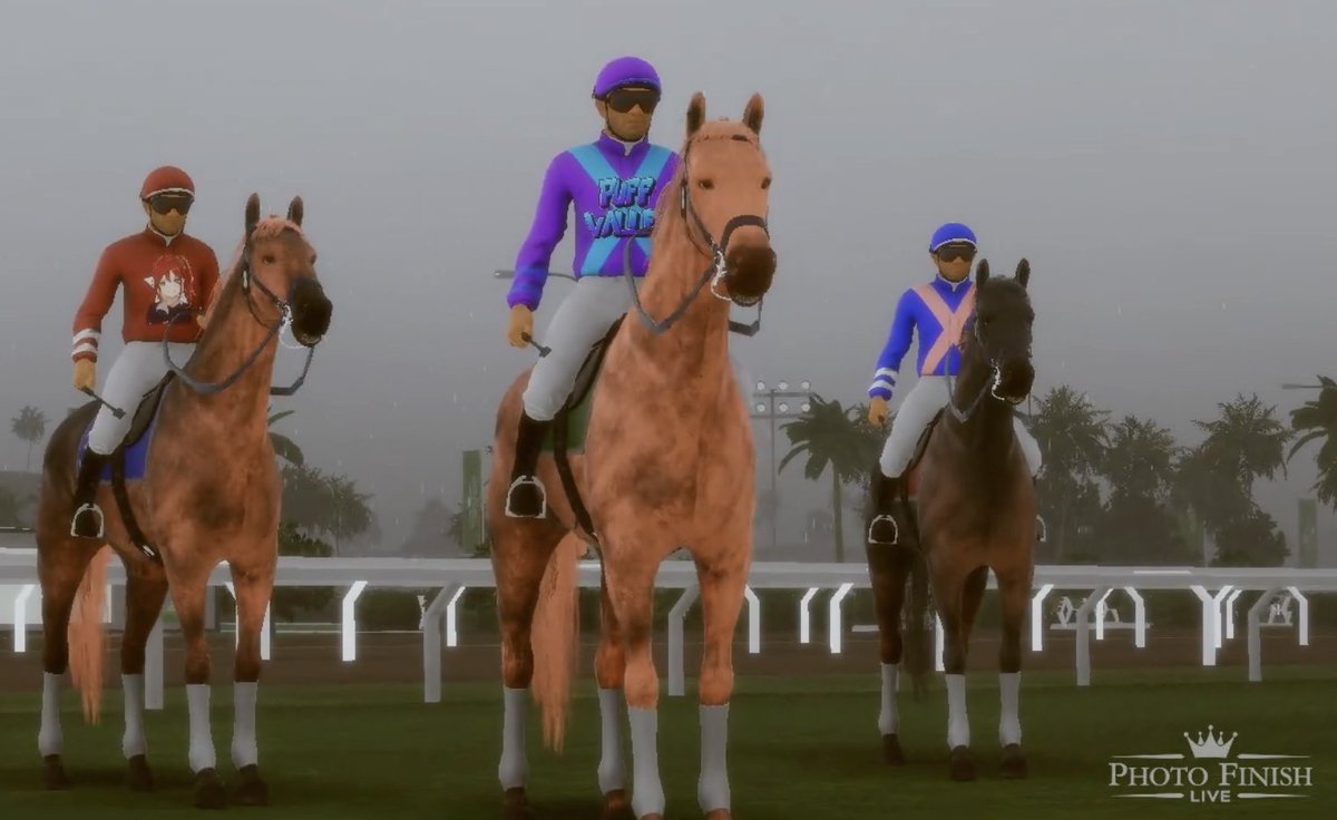 I joined <a href="/StonedApeCrew/">Stoned Ape Crew</a> in 2022 - to this day, fellow holders make up much of my circle of web3 friends

At the end of 2023, a small group of SAC holders banded together to venture into <a href="/photofinishgame/">Photo Finish™ LIVE 🌹 🐎 Virtual Horse Racing</a> and Puff Valley Stables was born!