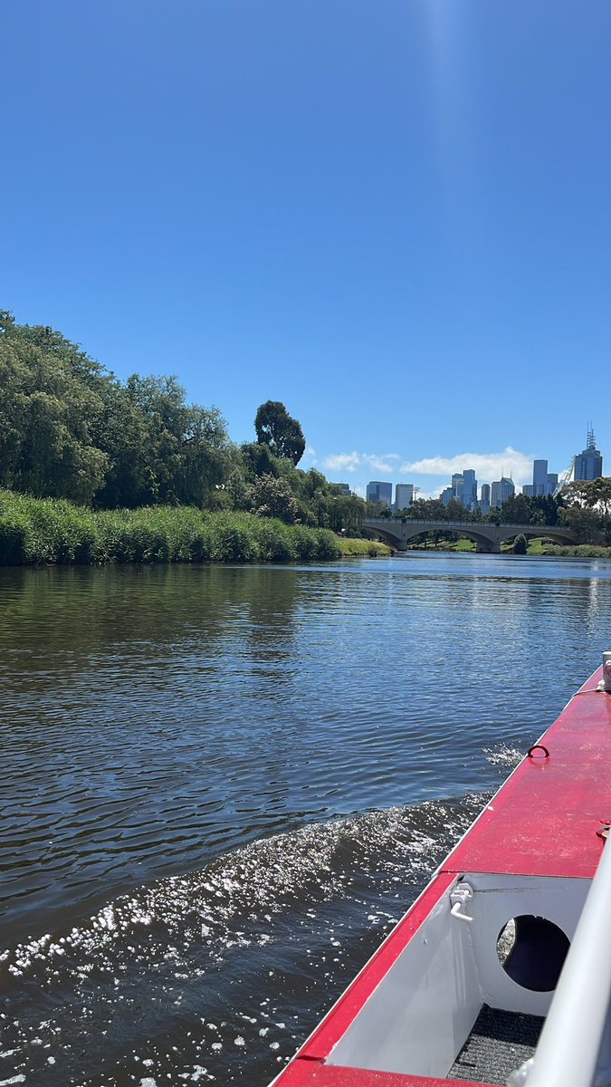 Es lebt sich mal wieder gut hier🤠