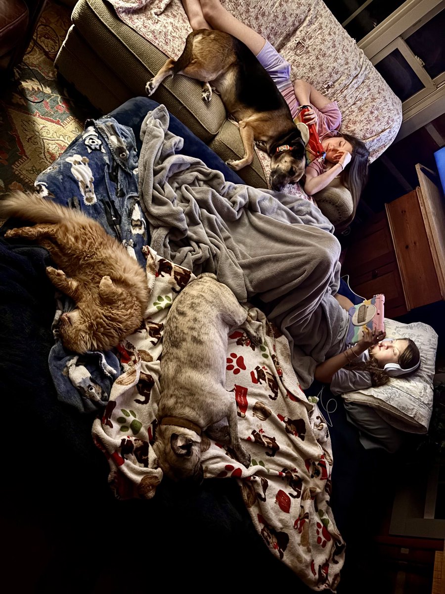 Lazy night at the farm