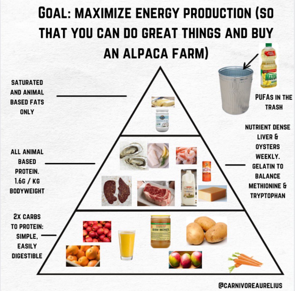 MenOfMeat3's tweet photo. Eat good meats🥩 
✅ Maximize energy 

#MensHealth #OfMenAndMeat #RFKjr https://t.co/Ozapw5ykJu