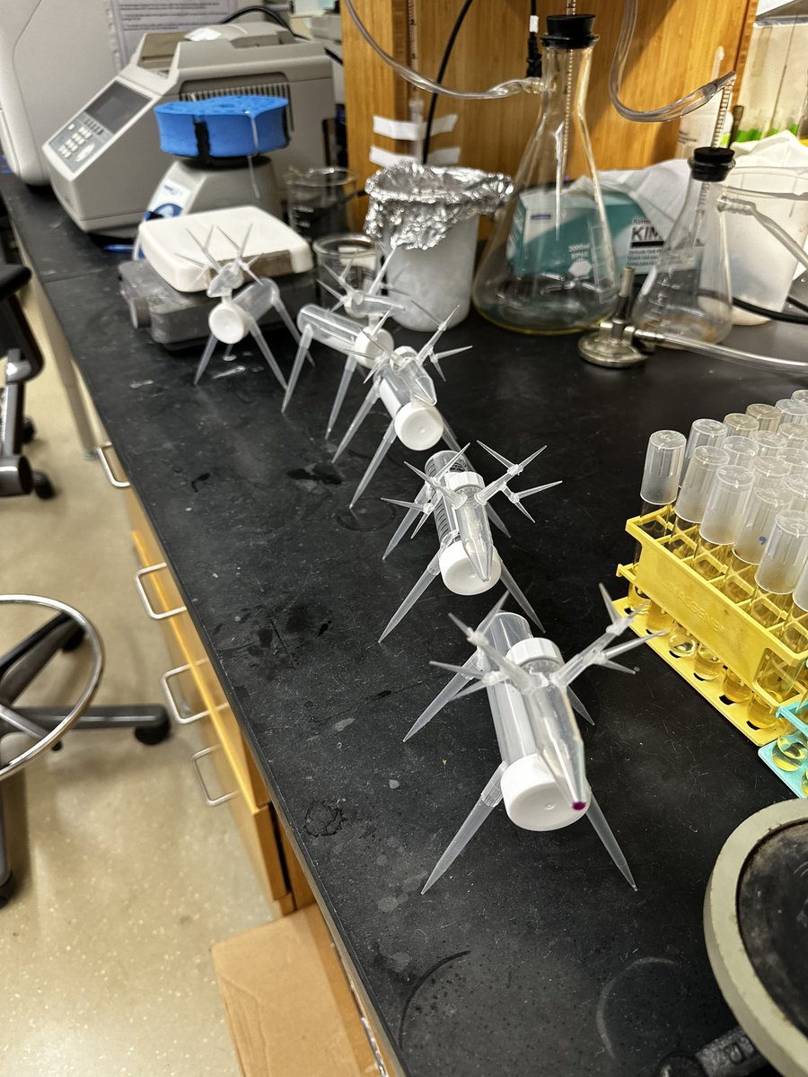 Dennis A DiMaggio Jr (@dadimaggiojr) on Twitter photo Happy Holidays from the #Brinsmadelab at #GeorgetownUniversity! Decided to make some DIY lab reindeer out of some extra tubes and tips! #GUBiology #eppendorf #VWR #USAScientific Happy Holidays from the #Brinsmadelab at #GeorgetownUniversity! Decided to make some DIY lab reindeer out of some extra tubes and tips! #GUBiology #eppendorf #VWR #USAScientific