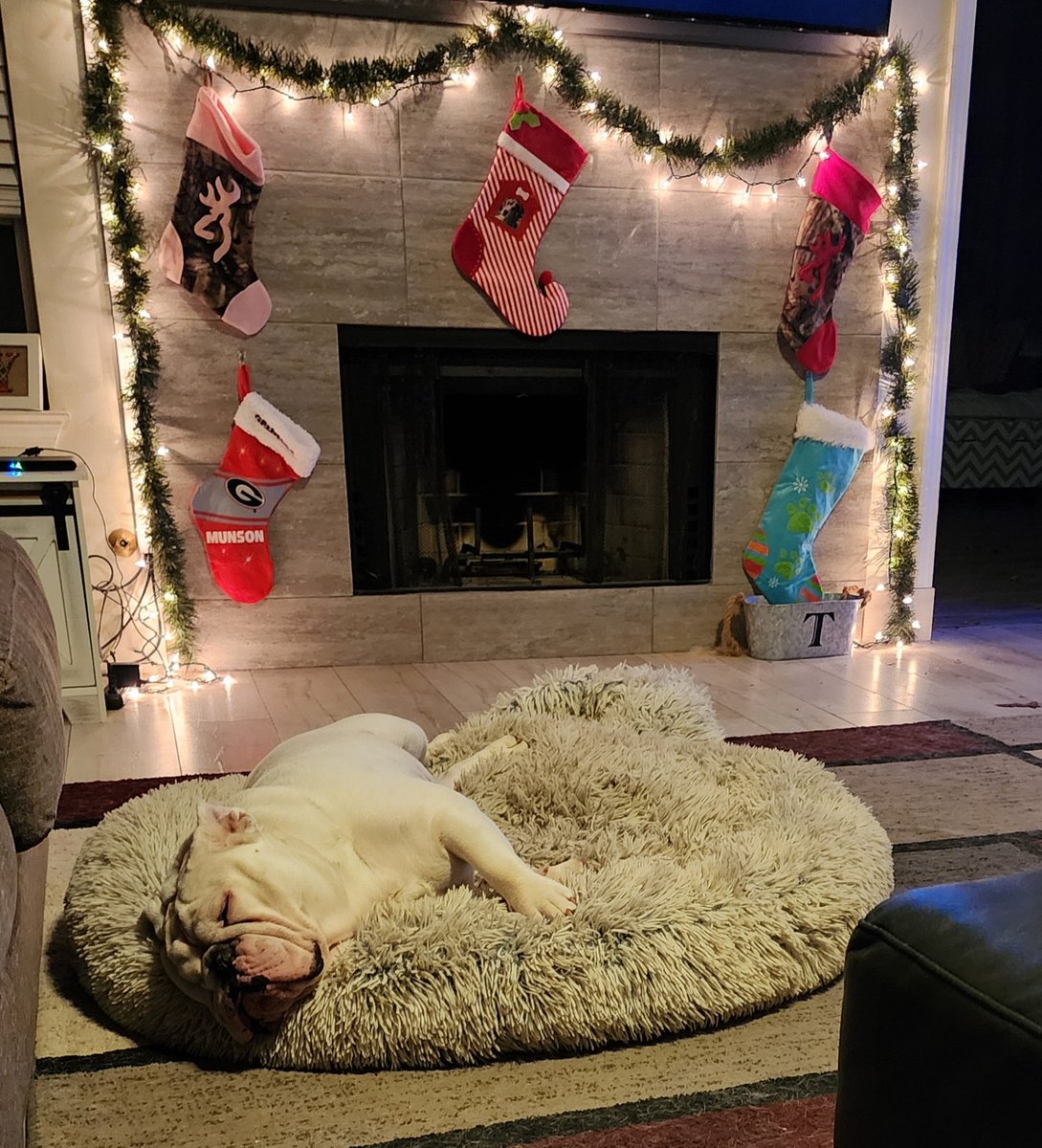 Waiting for Santa.. #Bulldogs