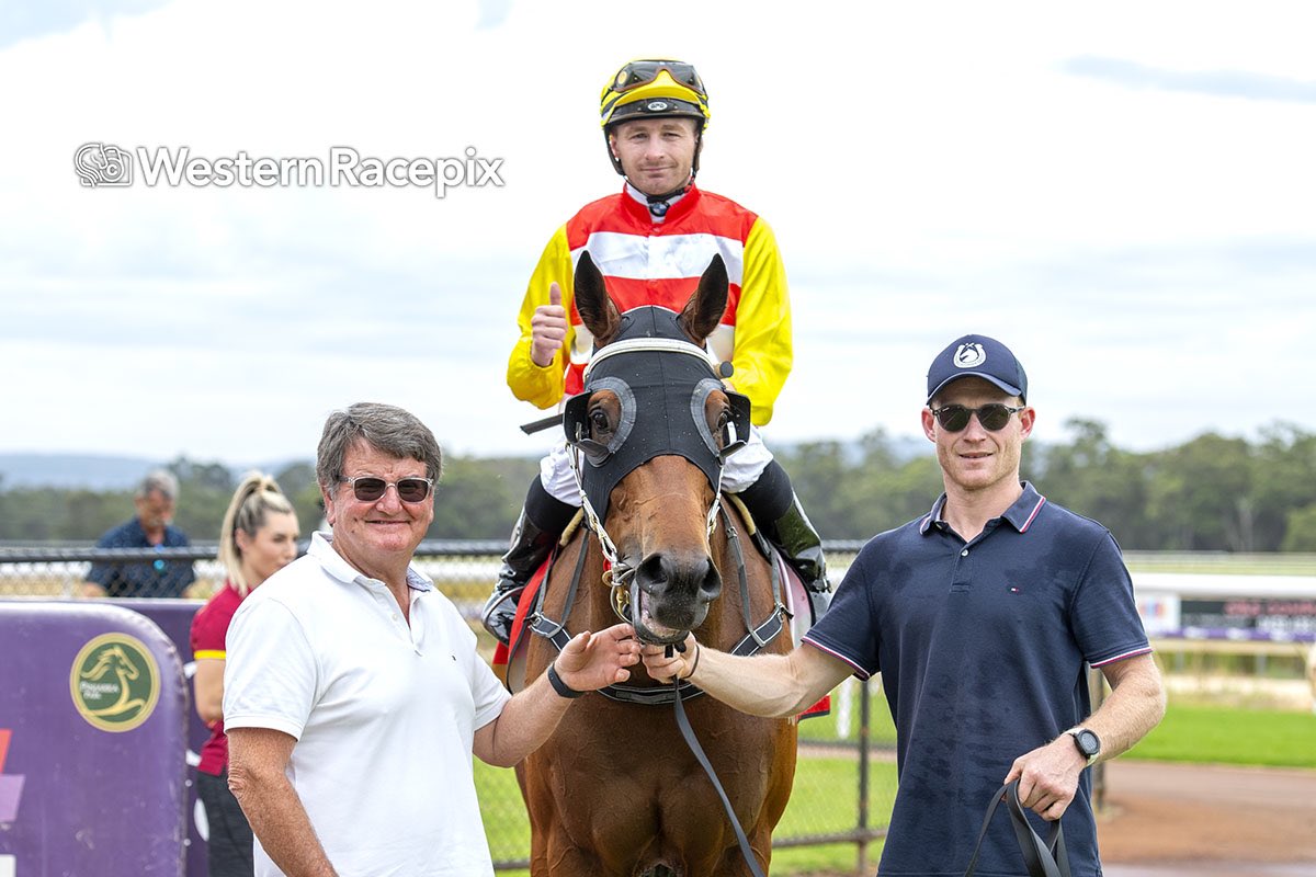 WesternRacepix's tweet image. STAR PROPHET - Pinjarra Fri 13th December #WesternRacepix #PinjarraRaces

More 📸 westernracepix.com