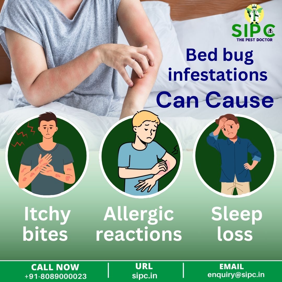 sipcpestcontrol's tweet photo. "𝐁𝐢𝐭𝐞𝐬, 𝐢𝐭𝐜𝐡𝐞𝐬, 𝐚𝐧𝐝 𝐬𝐥𝐞𝐞𝐩𝐥𝐞𝐬𝐬 𝐧𝐢𝐠𝐡𝐭𝐬? 𝐍𝐨𝐭 𝐚𝐧𝐲𝐦𝐨𝐫𝐞! 𝐒𝐈𝐏𝐂 𝐡𝐚𝐬 𝐭𝐡𝐞 𝐮𝐥𝐭𝐢𝐦𝐚𝐭𝐞 𝐛𝐞𝐝 𝐛𝐮𝐠 𝐬𝐨𝐥𝐮𝐭𝐢𝐨𝐧. 💪🐛
#NoMoreBedBugs #PeacefulNights #PestControlPro #SleepBetter #PestFreeZone #ByeByeBugs #NoMoreItch #SIPCExperts. https://t.co/nggLS1CttT