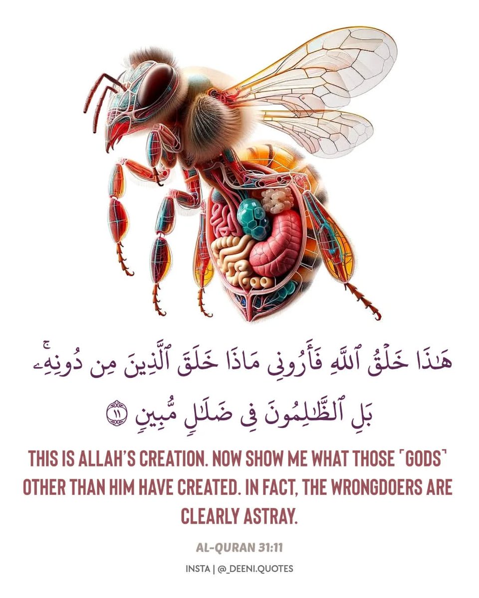 Al_Quran_011's tweet photo. reposts, it will help you🤍🕊️ https://t.co/r2IHNfQxu9