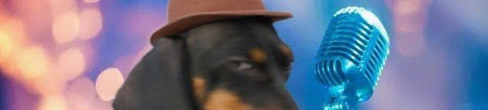 RMesserli18's tweet photo. @Noahhweb3 $KEYDOG https://t.co/lRCCmyUwk4
