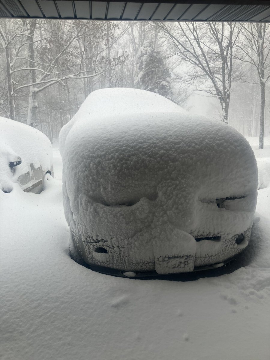 hullfamily's tweet photo. @Pat_HammerWGRZ @WGRZ Giddy up. https://t.co/yTmHMrPpO3