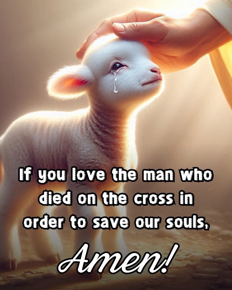 ChristIsComing5's tweet image. Do you love JESUS?