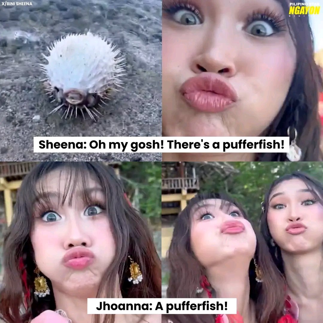 sage_viert's tweet photo. Ngi pufferfish?

#BSD #BloomSelfieDay #BloomSelcaDay https://t.co/zQdMIdeYix