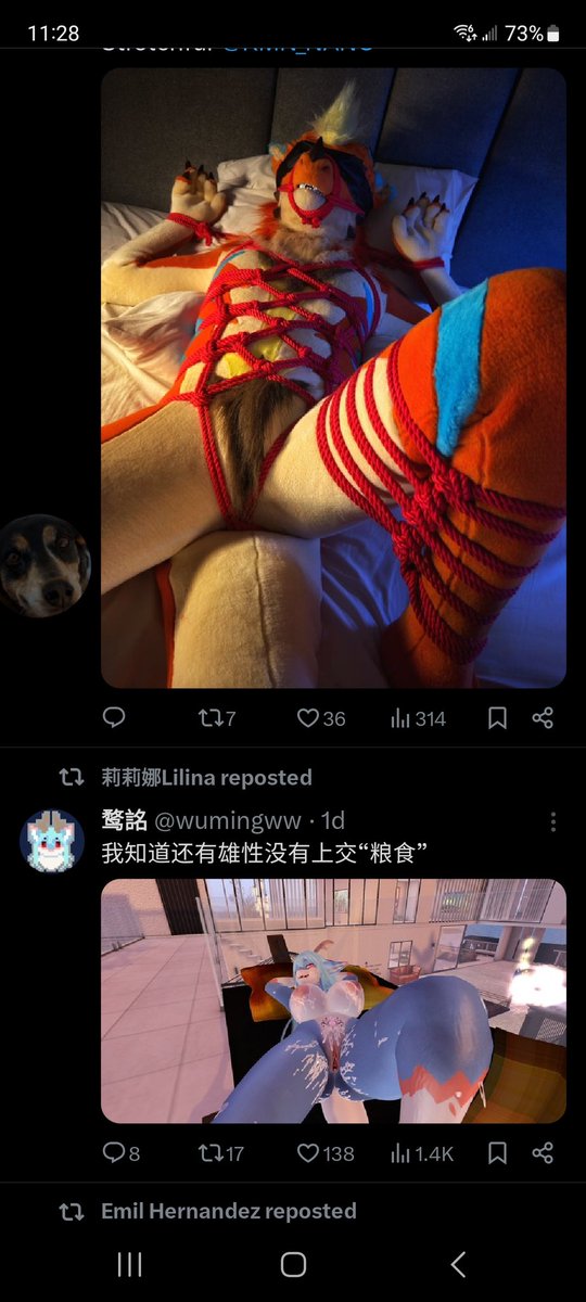 The wonders of X featuring <a href="/SilverKin37/">銀縛 - Shibari</a> and <a href="/wumingww/">鹜詺</a>...