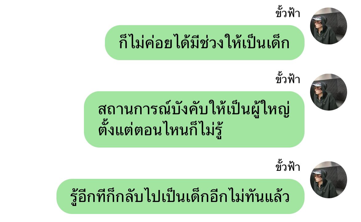 🦮 tweet media