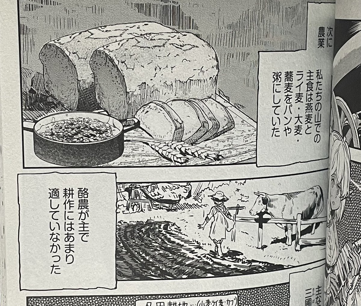 貨幣経済の影響を受けた山岳地帯のダークエルフの生活が狩猟採取から農耕酪農に替わる。収入の為に巨狼や大鷲も狩る。弓だった得物がその収入でより強力な猟銃や連発式レバーアクション銃に代わる。流通の変化で海産物が食卓に上がるようになり、様々な工業製品も手に入るようになる。オルクセン程突出