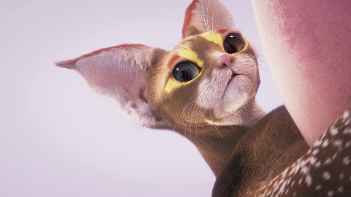 AUTOMATON（オートマトン） tweet media