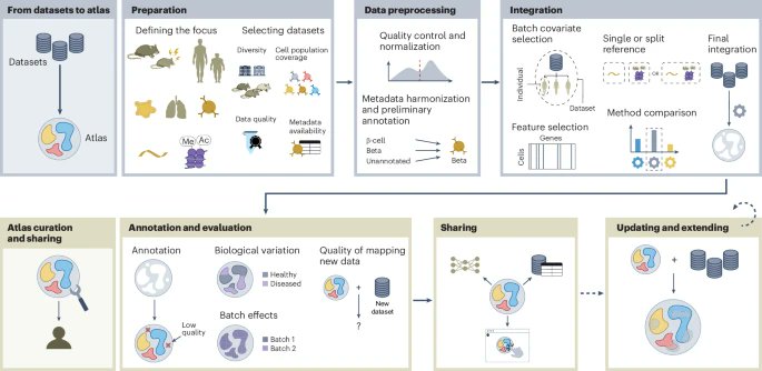 Lisa Sikkema (@sikkemalisa) on Twitter photo 1/7 Planning to build a single-cell atlas? Or wondering how atlases can be useful to your research? Read our guide on single-cell atlases nature.com/articles/s4159โฆ published today in Nature Methods, by <a href="/SikkemaLisa/">Lisa Sikkema</a>, <a href="/KHrovatin/">Karin Hrovatin</a>, <a href="/MDLuecken/">Malte Luecken</a>, <a href="/fabian_theis/">Fabian Theis</a> and others. 1/7 Planning to build a single-cell atlas? Or wondering how atlases can be useful to your research? Read our guide on single-cell atlases nature.com/articles/s4159โฆ published today in Nature Methods, by <a href="/SikkemaLisa/">Lisa Sikkema</a>, <a href="/KHrovatin/">Karin Hrovatin</a>, <a href="/MDLuecken/">Malte Luecken</a>, <a href="/fabian_theis/">Fabian Theis</a> and others.