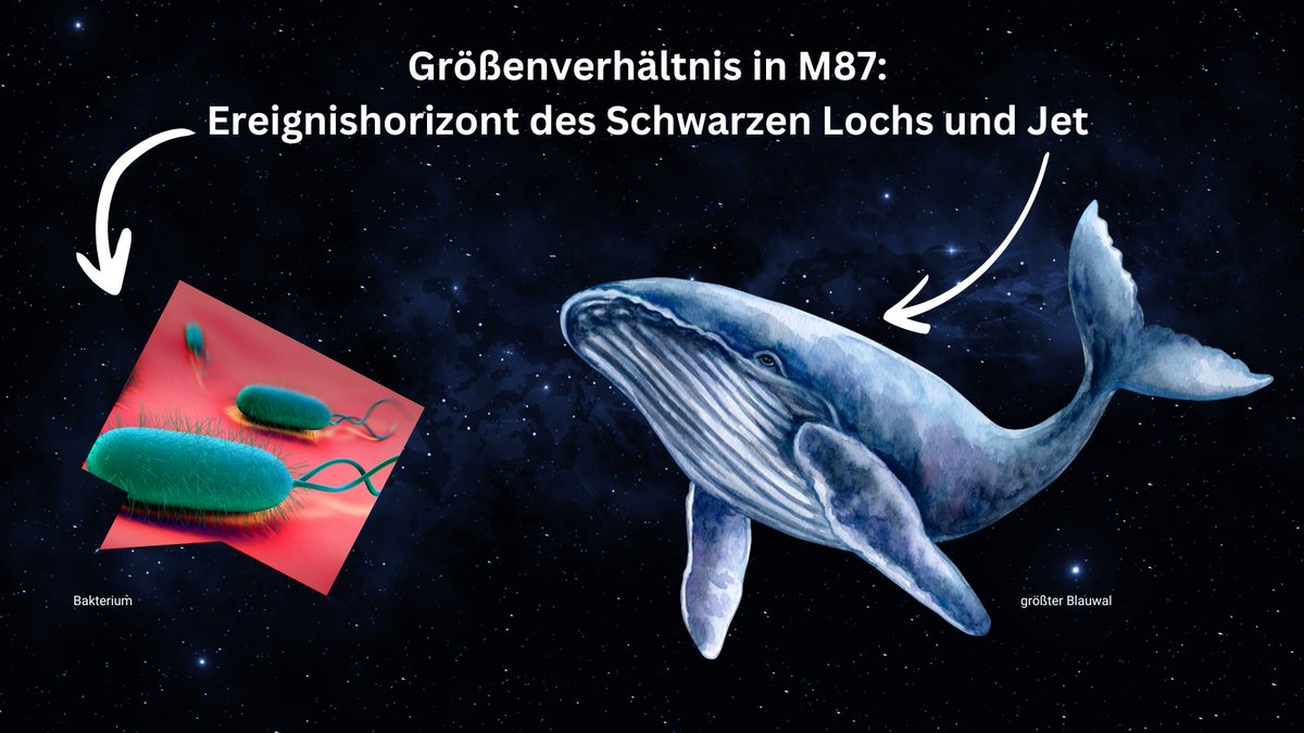 Teamwork makes the dream work 💪

In einer großangelegten Kampagne unterschiedlicher bodengebundener und Weltraumteleskope 📡 konnte ein seltener Helligkeitsausbruch des leistungsstarken Jets in der #Galaxie #M87 beobachtet werden.

mpifr-bonn.mpg.de/pressemeldunge…