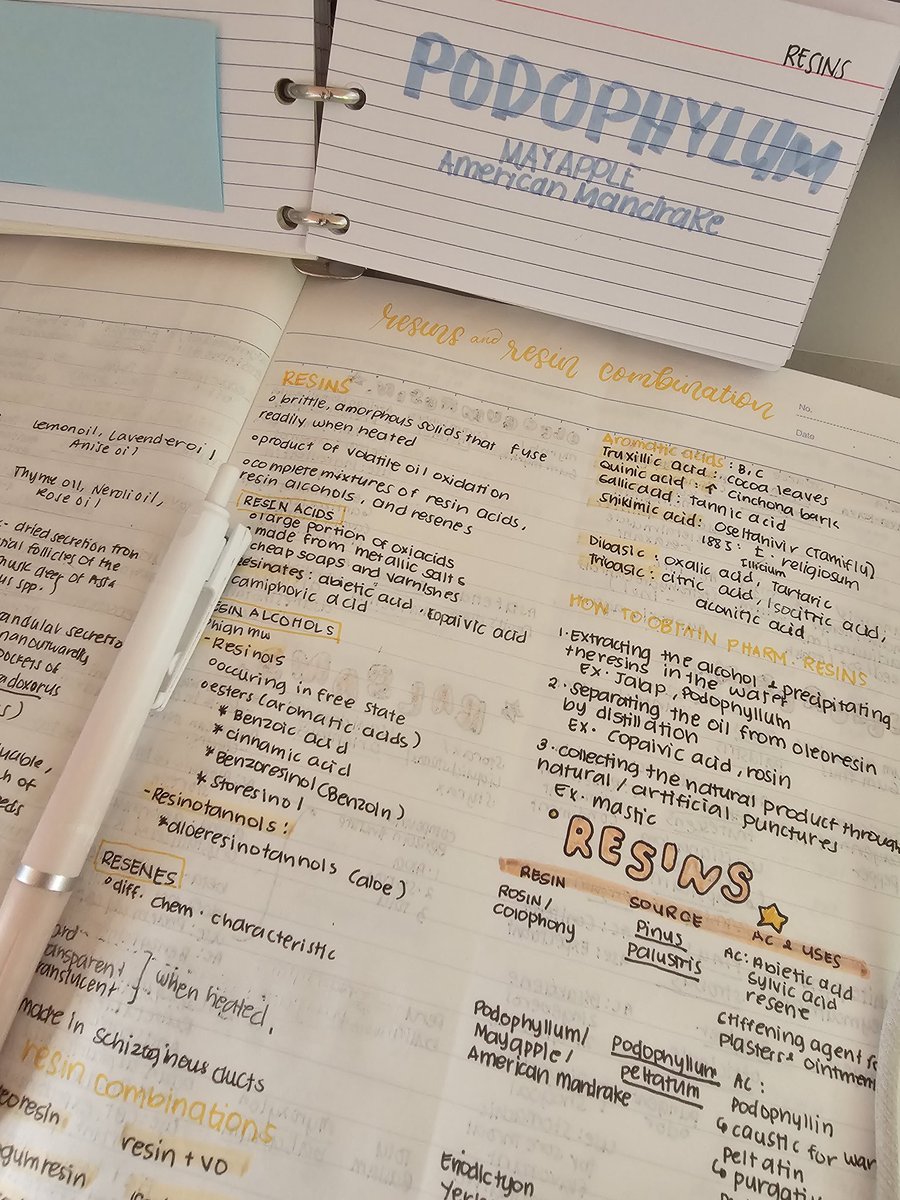 anjournal✰ tweet media