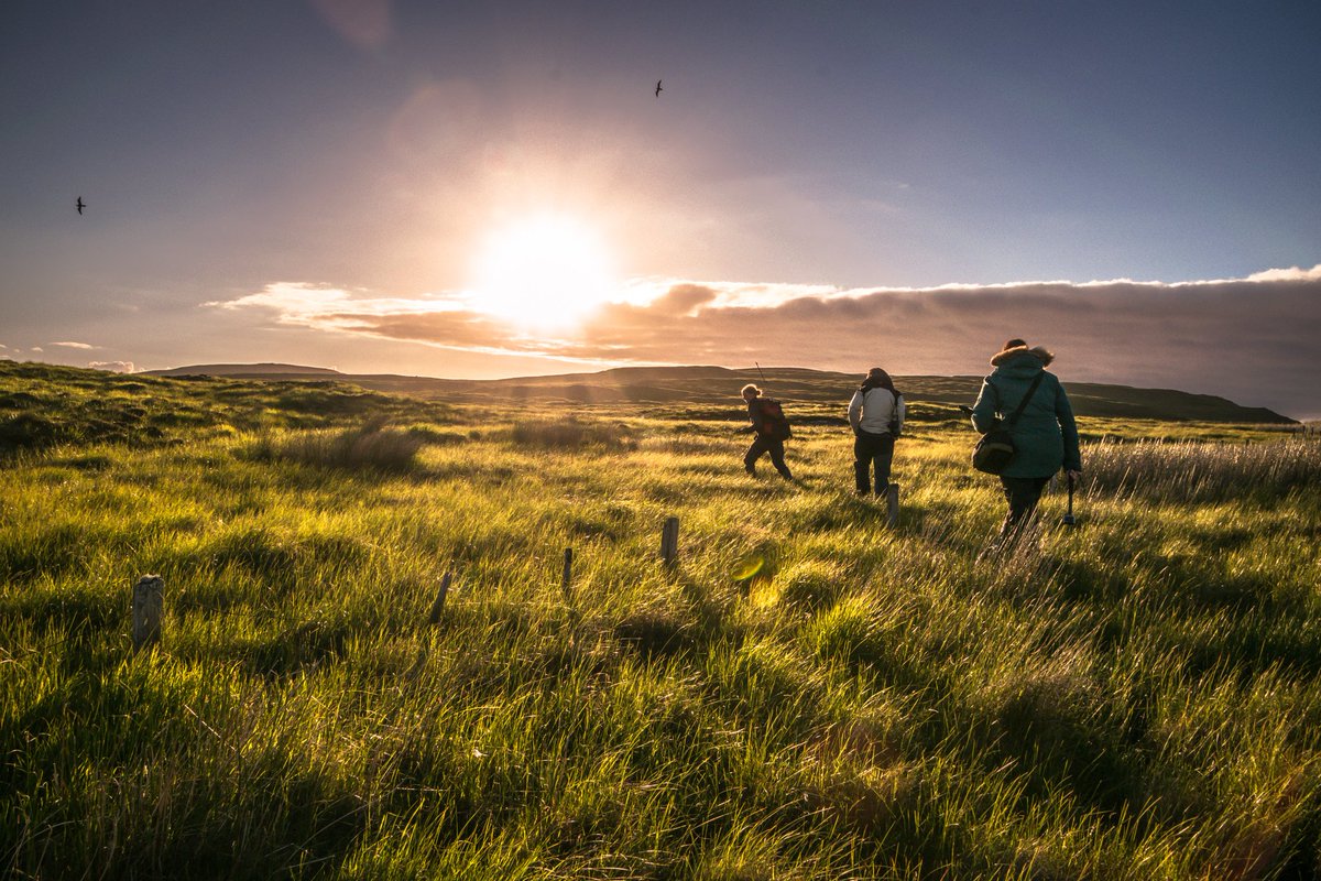 If you're looking for an exciting adventure next year, check out our volunteering opportunities on Handa Island for summer 2025!🌊

You can find more information on our website.👇
scottishwildlifetrust.org.uk/how-to-help/vo…

📸©Danni Thomspson