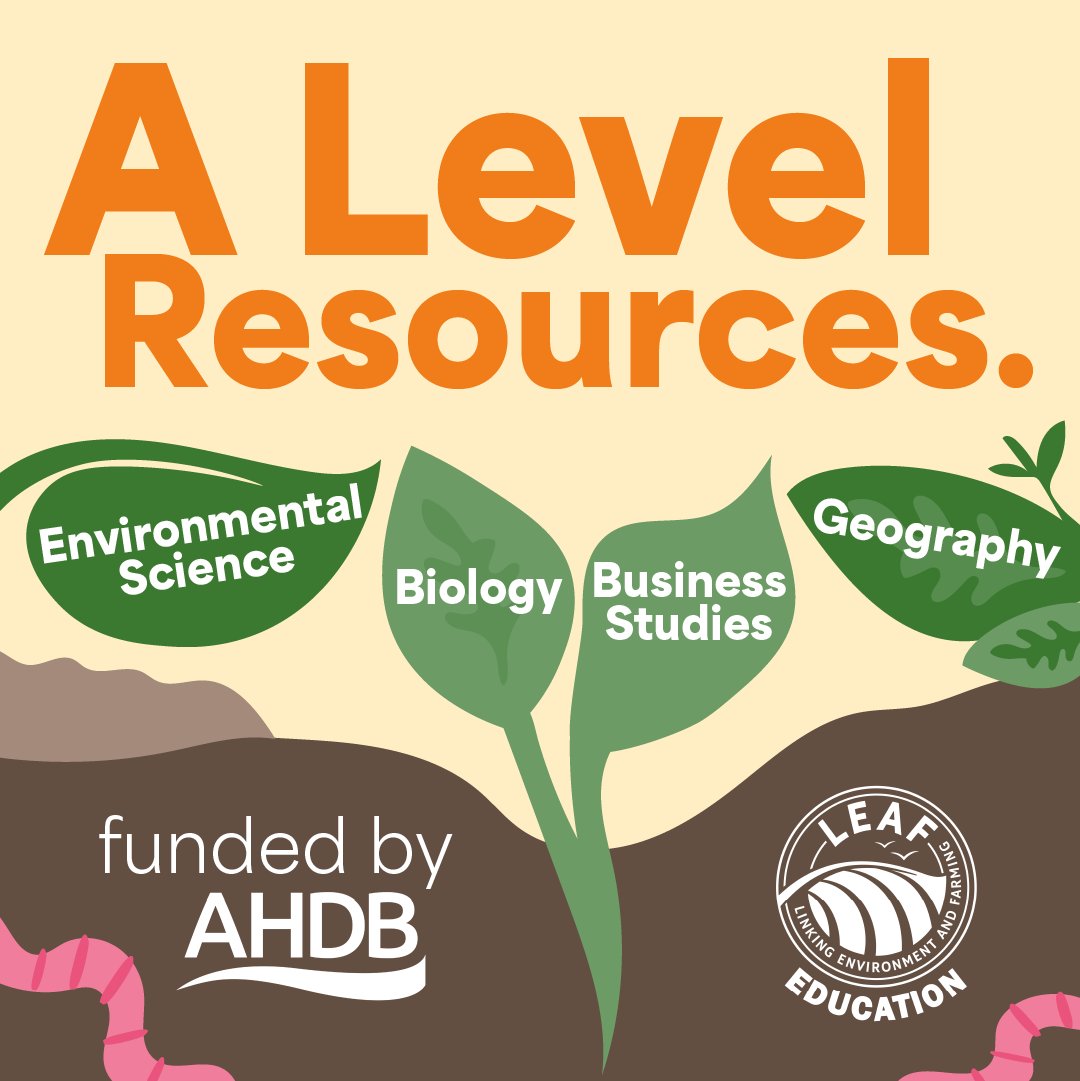 LEAF Education tweet media