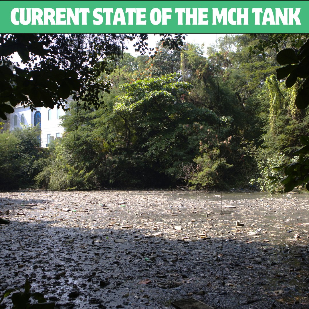Neglected waterbody in MCH Park needs attention!  We've traced the inlet, but the outlet's a mystery. 
Join us for a stream walk, chai, and breakfast as we solve it together! ☕🗺️

📅 15.12.2024 | 🕒 7:30 AM
📍 Pullareddy MCH Park, Jubilee Hills
#HyderabadUrbanLab #StreamWalk