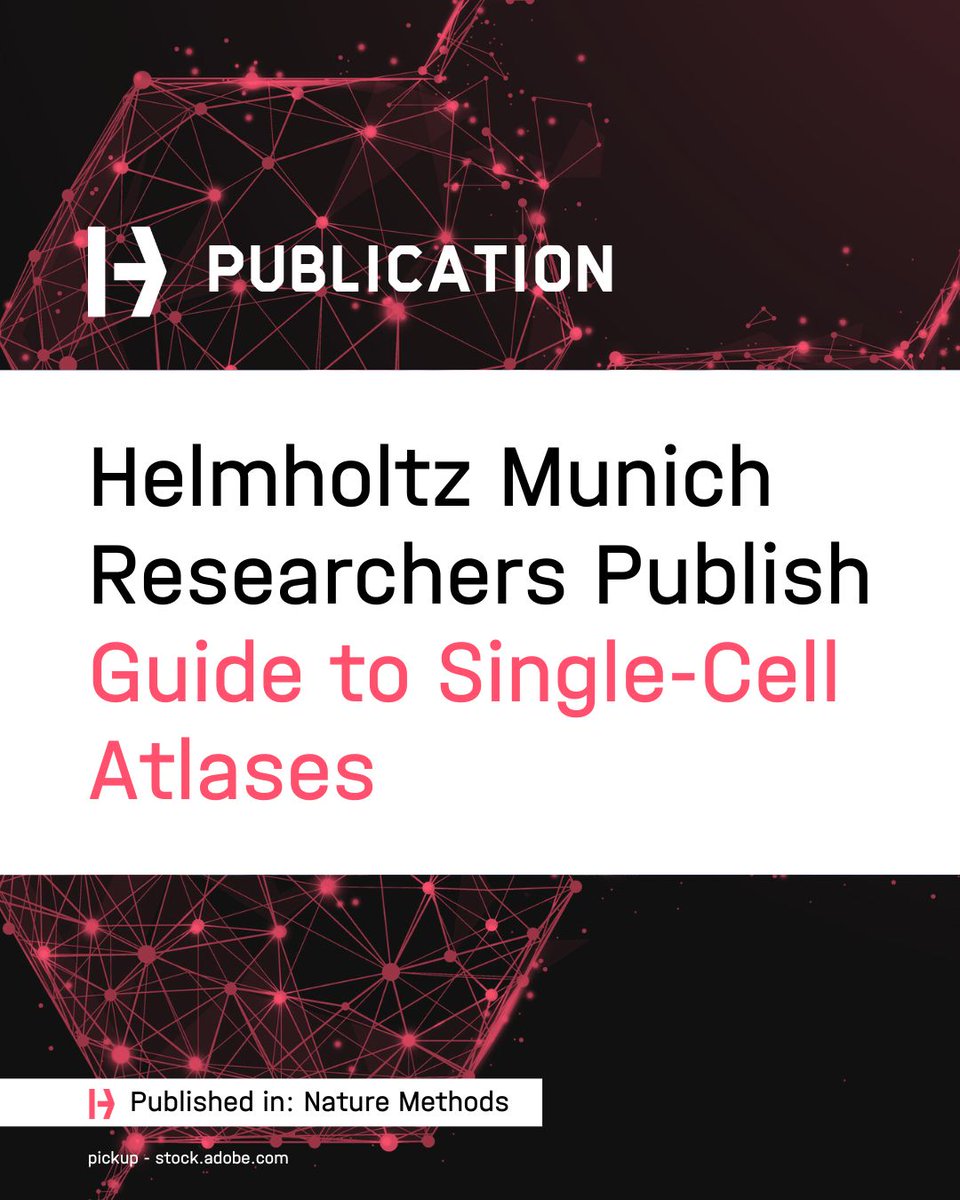 #HelmholtzMunich Shares Guide to Single-Cell Atlases

A team led by Dr. Malte Lücken, Helmholtz Munich, has published a guide in <a href="/naturemethods/">Nature Methods</a> to standardize the creation of single-cell atlases – these are crucial tools for mapping cellular diversity.
👉t1p.de/kt8ou