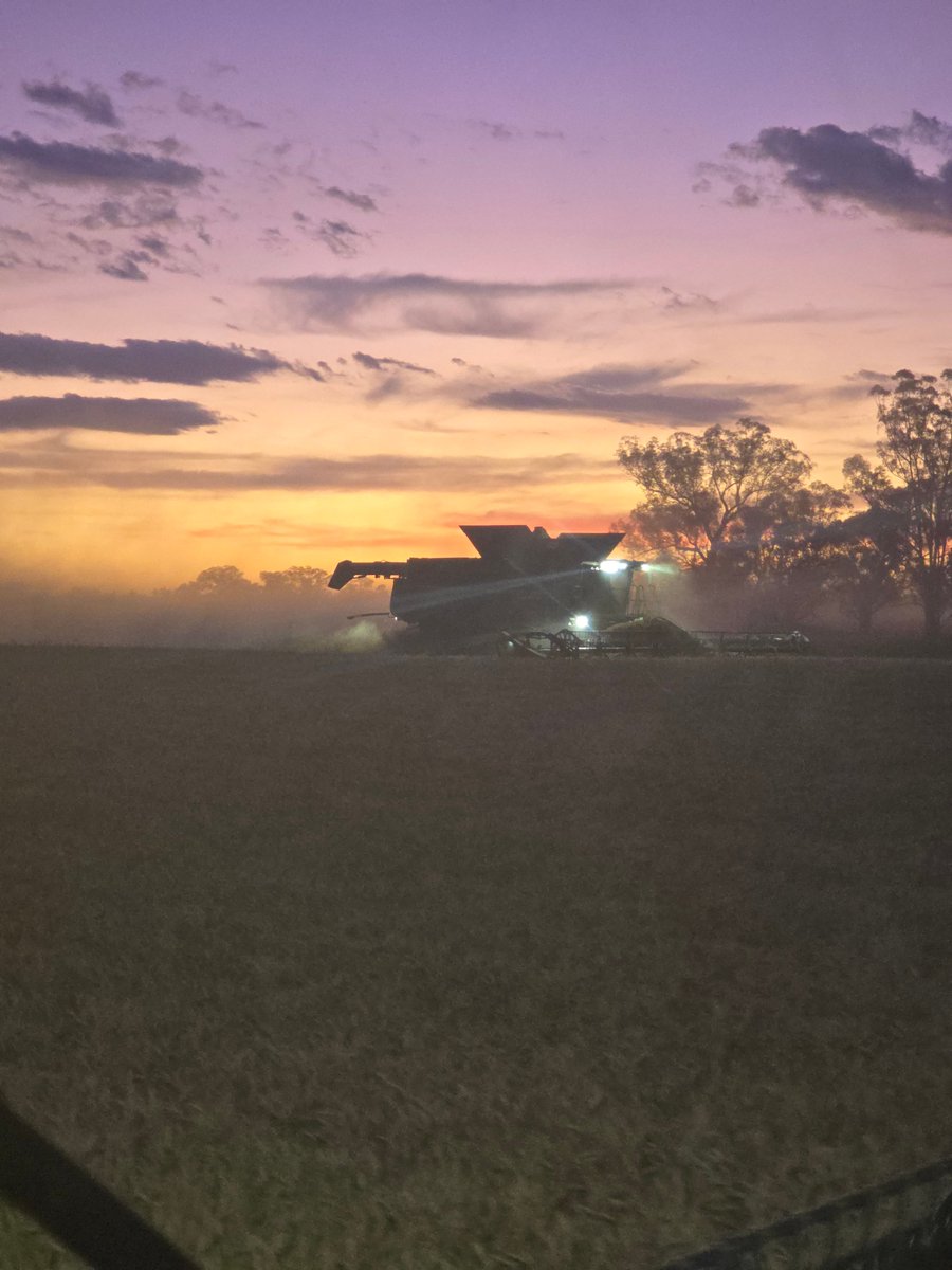 Great to see Ag X (formally twitter) starting to thrive a bit again. I encourage anyone who reads alot of posts but doesn't post much themselves, just post your thoughts and or opinions, more we chat discuss and share the more we move forward and gain knowledge. There will always