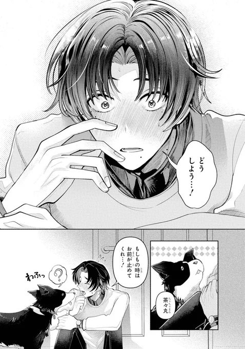 『好きな人がある日突然ドールになっちゃった話』
 #漫画が読めるハッシュタグ (17/17) ※再掲 